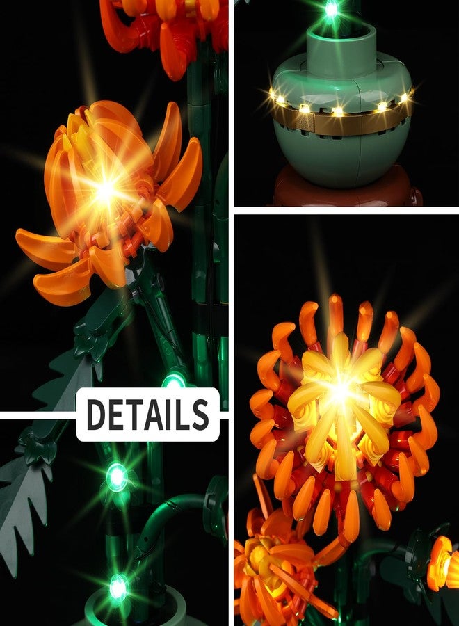 Kyglaring طقم إضاءة LED من Kyglaring متوافق مع مكعبات بناء Lego Chrysanthemum 10368، ملحقات إضاءة مطورة لمجموعة نموذج 10368، مصابيح فقط (النموذج غير متضمن)، إصدار كلاسيكي - Image 5